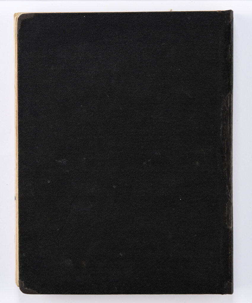 Brulion to prawie stukartkowy, elegancki zeszyt oprawiony w grubą tekturę obleczoną ozdobnie tłoczonym czarnym płótnem, karty gładkie, kremowobiałe, pokryte na brzegach pozłotą (lub farbą karminową), format: 20,5 x 16 cm. Teksty zapisane zielonym i czarnym, często wyblakłym atramentem oraz ołówkiem, na niektórych kartach tytuły wierszy podkreślone czerwoną kredką. Zabytek ten jest mocno sfatygowany: blok doklejony do okładki oraz przymocowanych dwoma paskami bezbarwrwnego płótna, pęknięty, niektóre karty oderwane od zszywek poszytowych (np. zszywki metalowe, w dużym stopniu zardzewiałe, które zniszczyły dodatkowo papier, zostały usunięte podczas konserwacji w muzeum). Całość sprawia wrażenie brulionu wielokrotnie kartkowanego - ślady palców. Karty ponumerowane są ołówkiem na górnym prawym marginesie, ta numeracja wykonana została przez pracowników muzeum , oraz na marginesie dolnym - ta pochodzi od Edwarda Kozłowicza. Między numerami z góry i z dołu zachodzi rozbieżność o 1 numer, jako że poprzedni depozytariusz zaczął numerację od pierwszej karty zapisanej przez Czechowicza; muzealnicy, którzy wpisywali numery na górnym prawym marginesie - zaczęli prawidłowo numerację od pierwszej przyokładkowej, niezapisanej karty zeszytu. Od Kozłowicza pochodzą zapewne dość liczne ołówkowe adnotacje na marginesach niektórych kart. Głównie odnoszą się one do różnic tekstowych pomiędzy brulionem a edycją niektórych wierszy zamieszczonych w tomiku poezji J. Czechowicza pt. 
