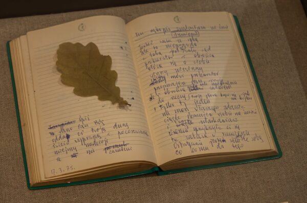 otwarty notatnik z zapisanymi ręcznie stronami na lewej stronie leży liść