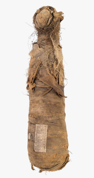 Mumia kota o podłużnej, obłej formie z widocznymi uszkodzeniami materiału u góry. 